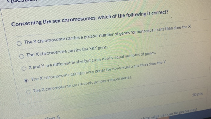 Solved Concerning The Sex Chromosomes Which Of The 9536