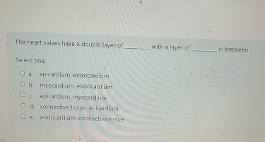 Solved The heart valves have a double layer ofwith a layer | Chegg.com