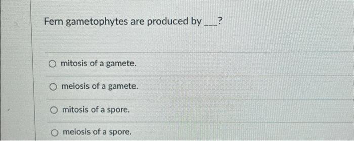 Fern gametophytes are produced by ?
mitosis of a gamete.
meiosis of a gamete.
mitosis of a spore.
meiosis of a spore.