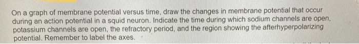 Solved Draw a picture of a typical neuron with a presynaptic | Chegg.com