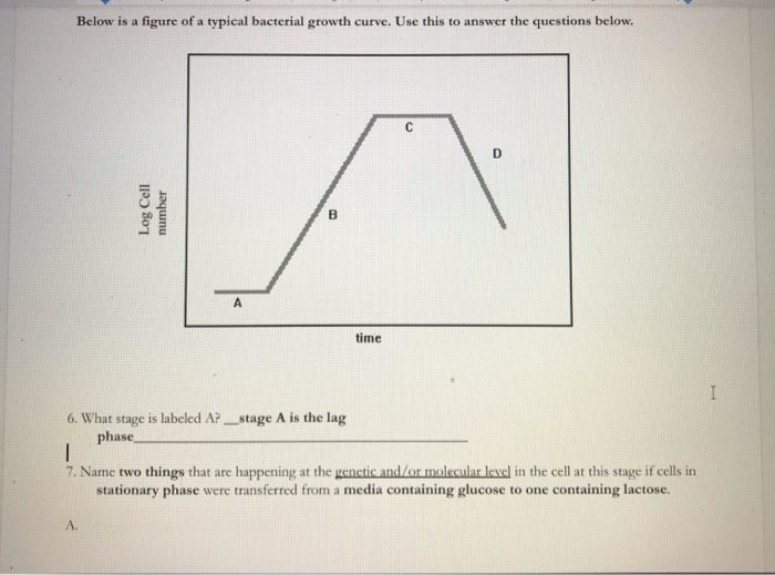 Solved Below is a figure of a typical bacterial growth