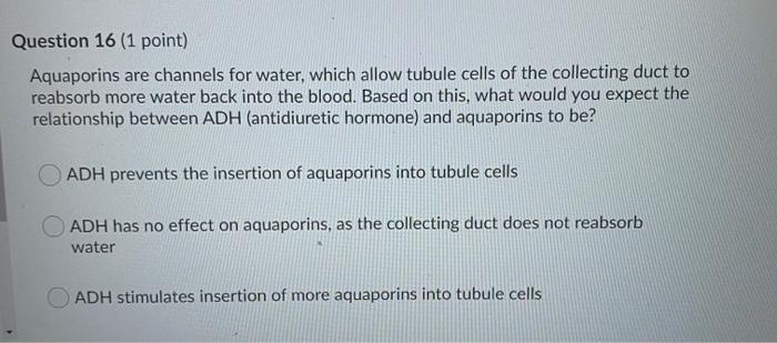 Solved Question 12 1 Point What Happens To The Blood In Chegg