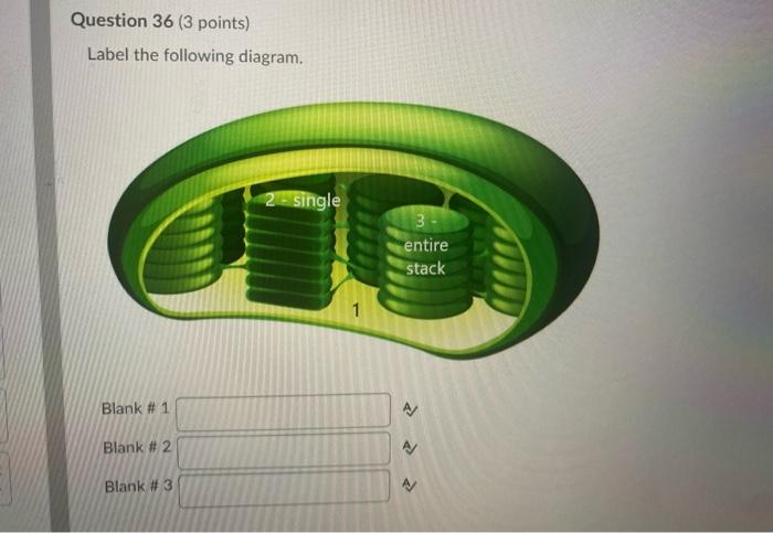 Solved Question 36 (3 points) Label the following diagram. 2 | Chegg.com