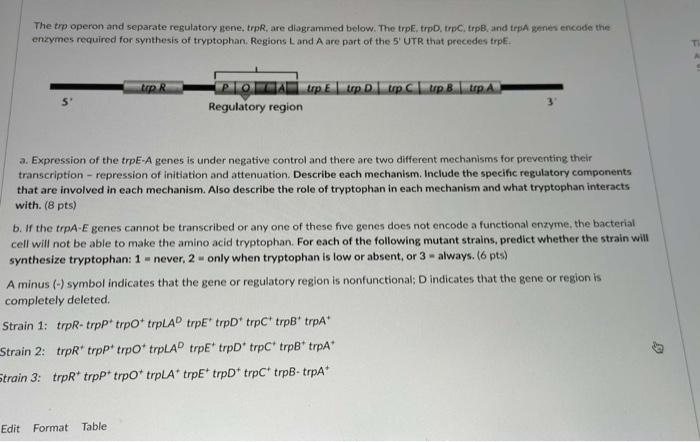 The trp operon and separate regulatory gene, trpR, are diagrammed below. The trpE, trpD, trpCi trpB, and trpA genes encode th