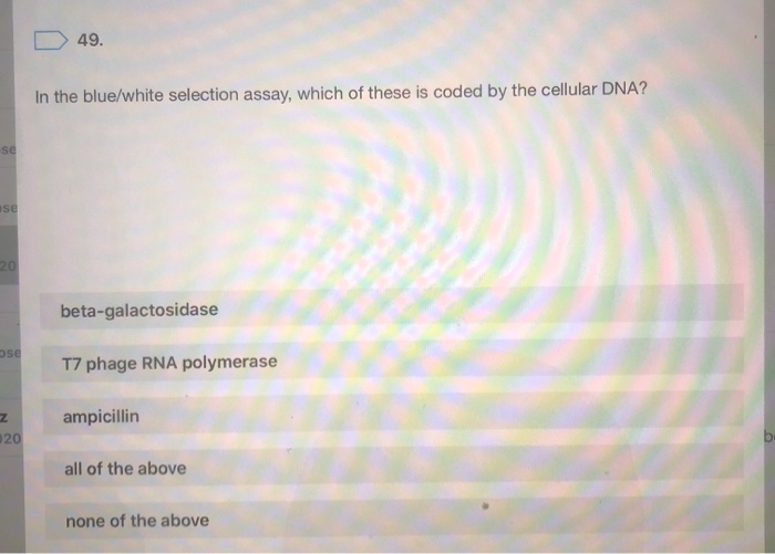 D49.
In the blue/white selection assay, which of these is coded by the cellular DNA?
use
beta-galactosidase
ose
T7 phage RNA