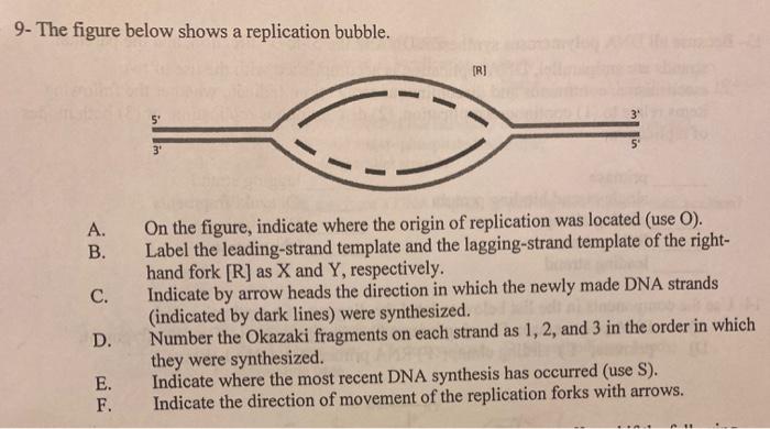 Solved 9- The figure below shows a replication bubble. TRI 3 | Chegg.com