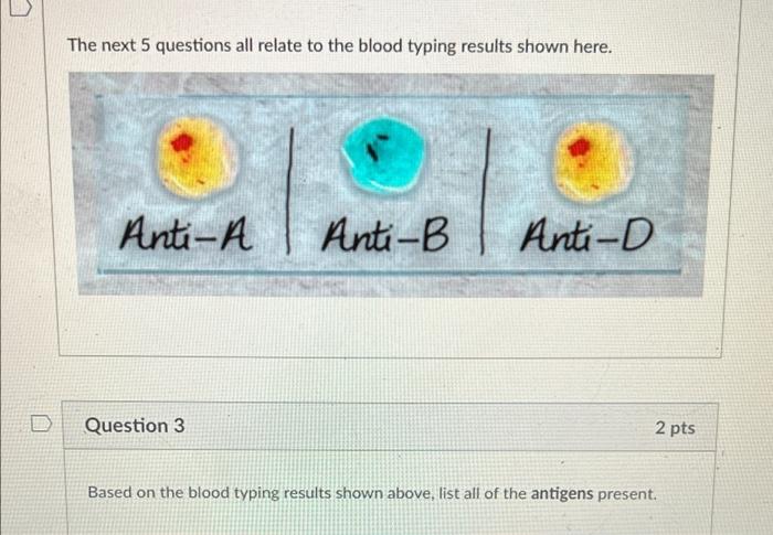 Solved The next 5 questions all relate to the blood typing | Chegg.com