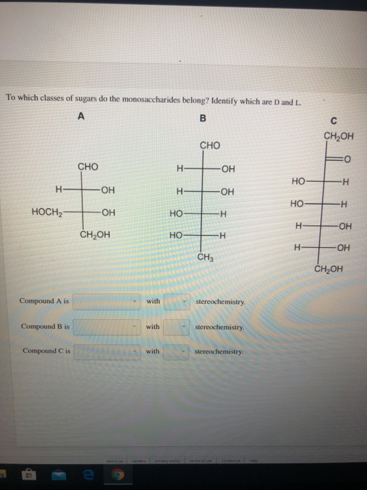 Solved To which classes of sugars do the monosaccharides | Chegg.com