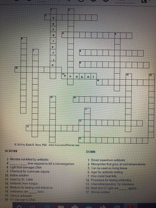 phd requirement crossword