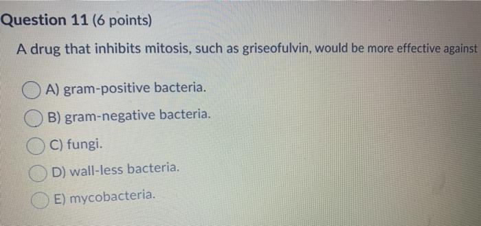 Question 11 (6 points) A drug that inhibits mitosis, such as griseofulvin, would be more effective against A) gram-positive b