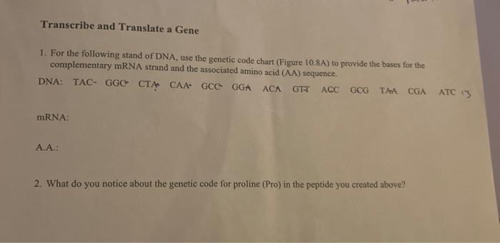 Solved 1. For the following stand of DNA, use the genetic | Chegg.com
