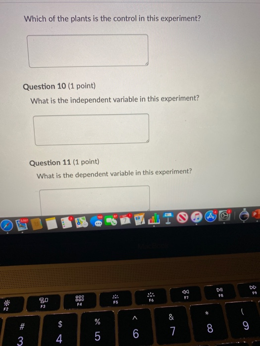 Solved Question 2 (0.5 points) A student decides to set up | Chegg.com