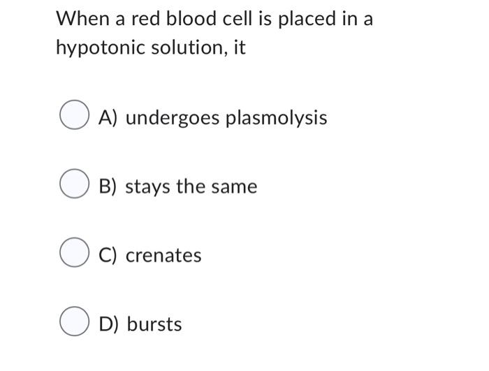 When a red blood cell is placed in a hypotonic solution, it
A) undergoes plasmolysis
B) stays the same
C) crenates
D) bursts