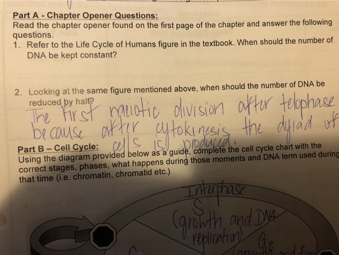 Solved Part A-Chapter Opener Questions: Read the chapter | Chegg.com