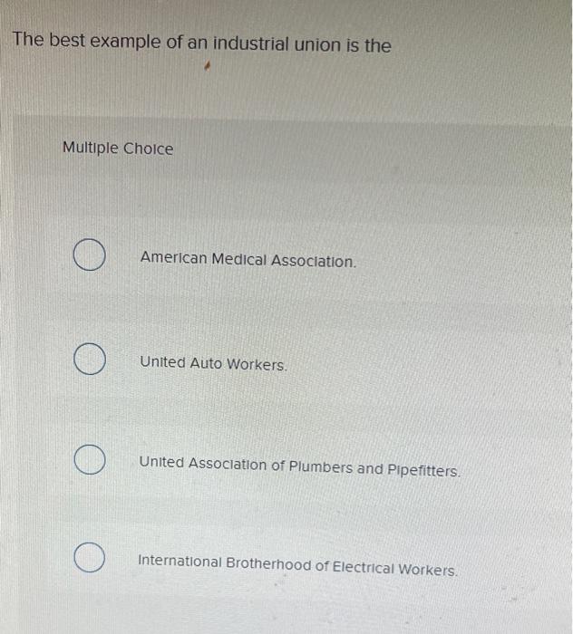 Solved The best example of an industrial union is the | Chegg.com