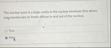 Solved The nuclear pore is a large cavity in the nuclear | Chegg.com
