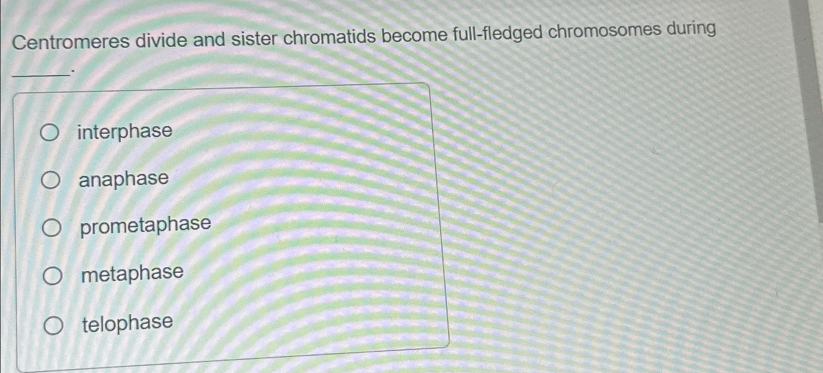 Solved Centromeres divide and sister chromatids become | Chegg.com