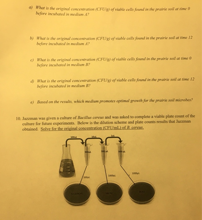 2. Mowgli is counting yeast cells using the