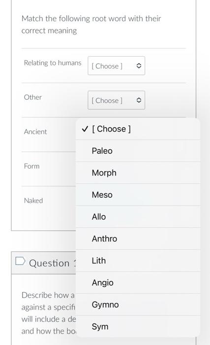 solved-match-the-following-root-word-with-their-correct-chegg