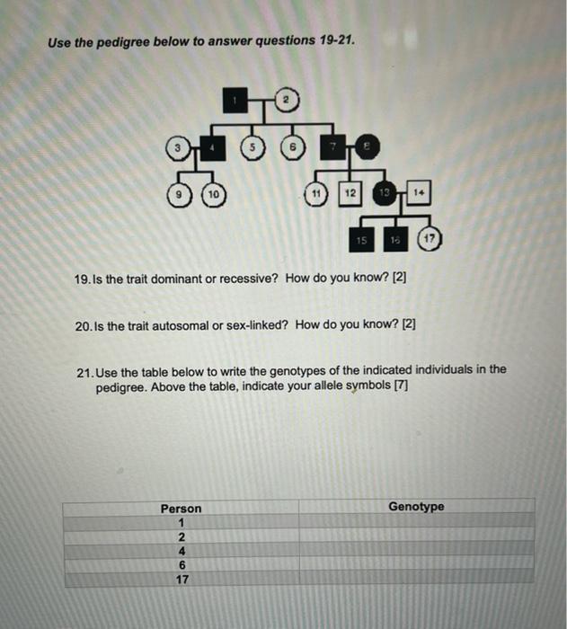 Solved PEDIGREE WORKSHEET Use the pedigree below to answer | Chegg.com