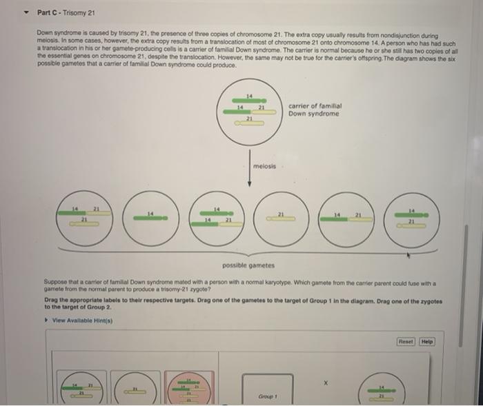 Solved Chromosomal mutations are changes in the normal | Chegg.com