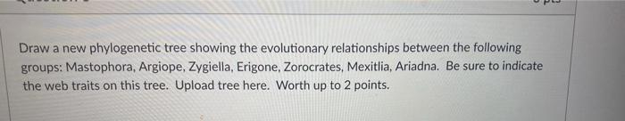 Solved Draw a new phylogenetic tree showing the evolutionary | Chegg.com