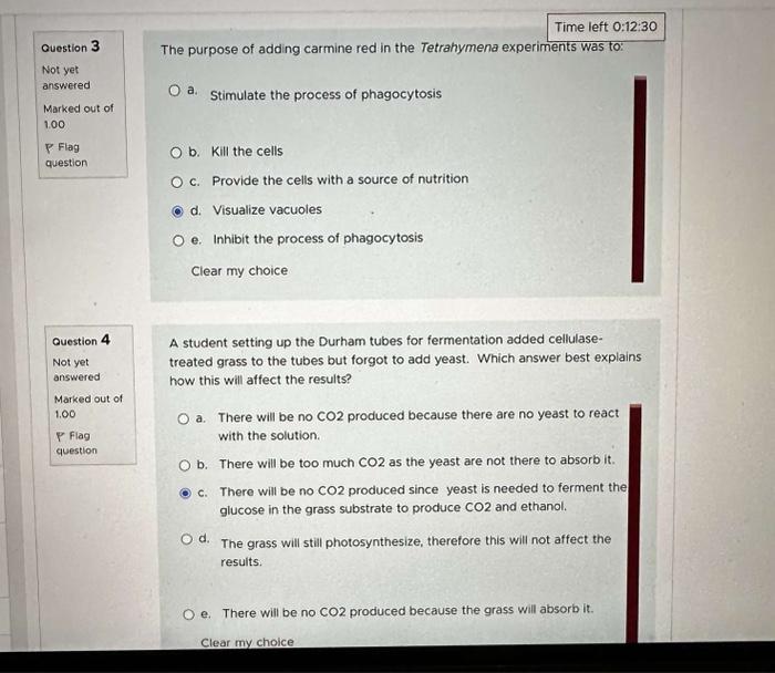 Solved While a student was setting up the enzyme assay, he | Chegg.com