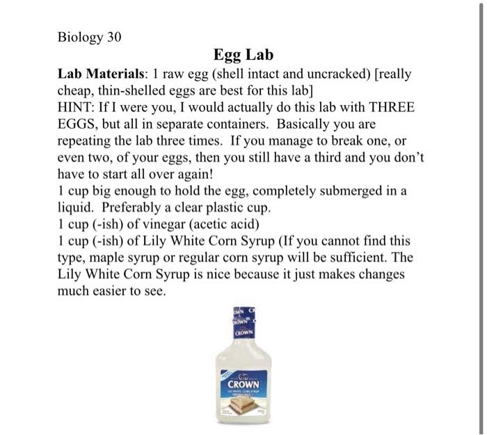 Solved Biology 30 Egg Lab Lab Materials: 1 raw egg (shell | Chegg.com