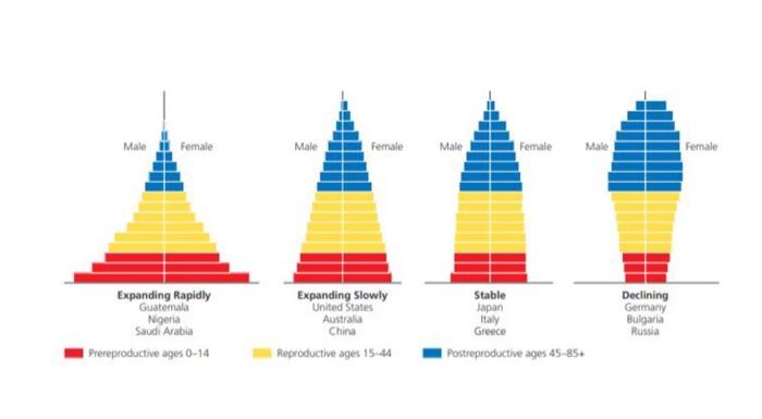 Solved Active Figure 6-6 Generalized population age | Chegg.com