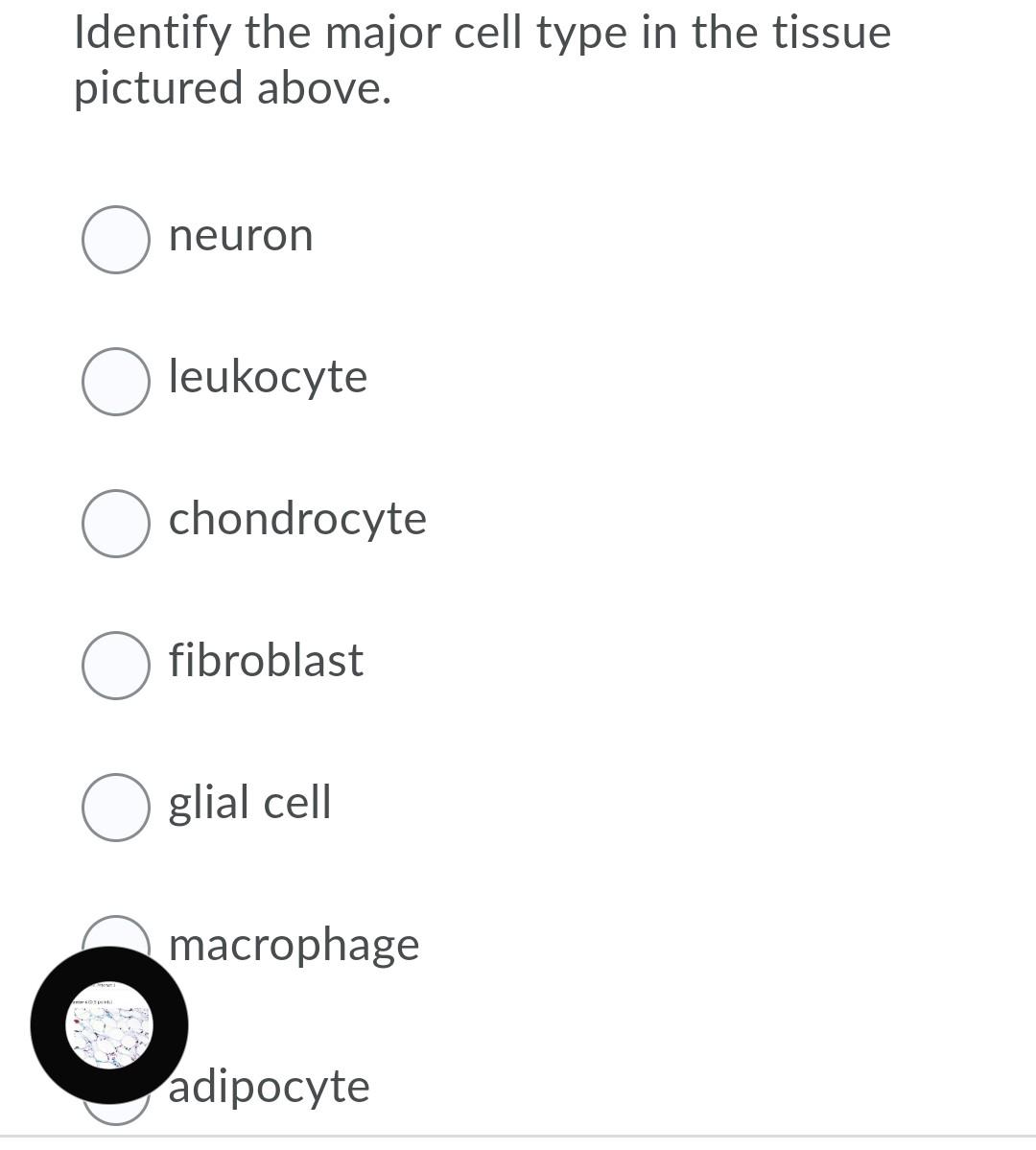 Solved Question 6 (0.5 points) Identify the major cell type | Chegg.com