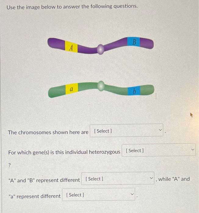 Solved Use The Image Below To Answer The Following | Chegg.com