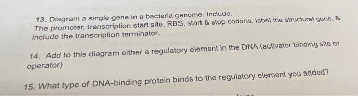 Solved 13. Diagram a single gene in a bacteria genome. | Chegg.com