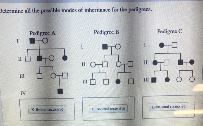 etermine all the possible modes of inheritance for the pedigrees.