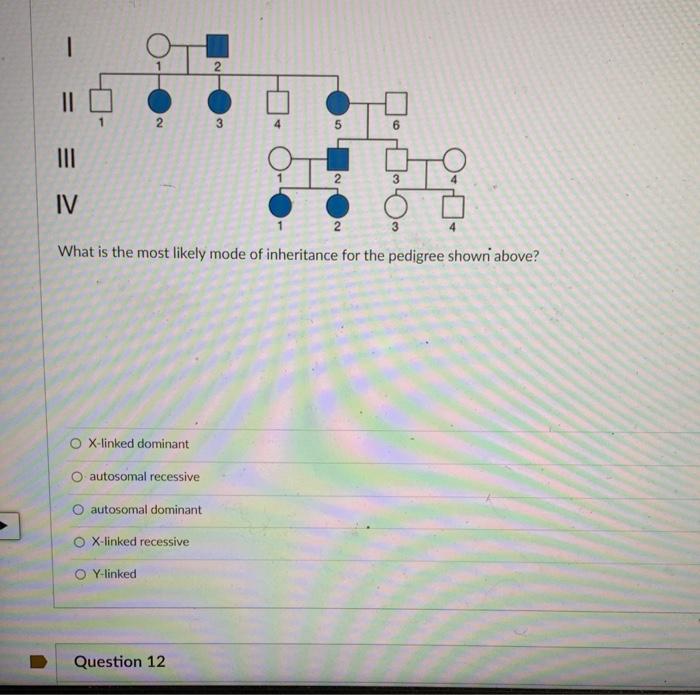 Solved Select The Most Likely Mode Of Inheritance For The Free