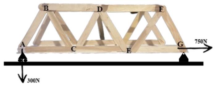 Solved Find all external and internal forces. Each member | Chegg.com