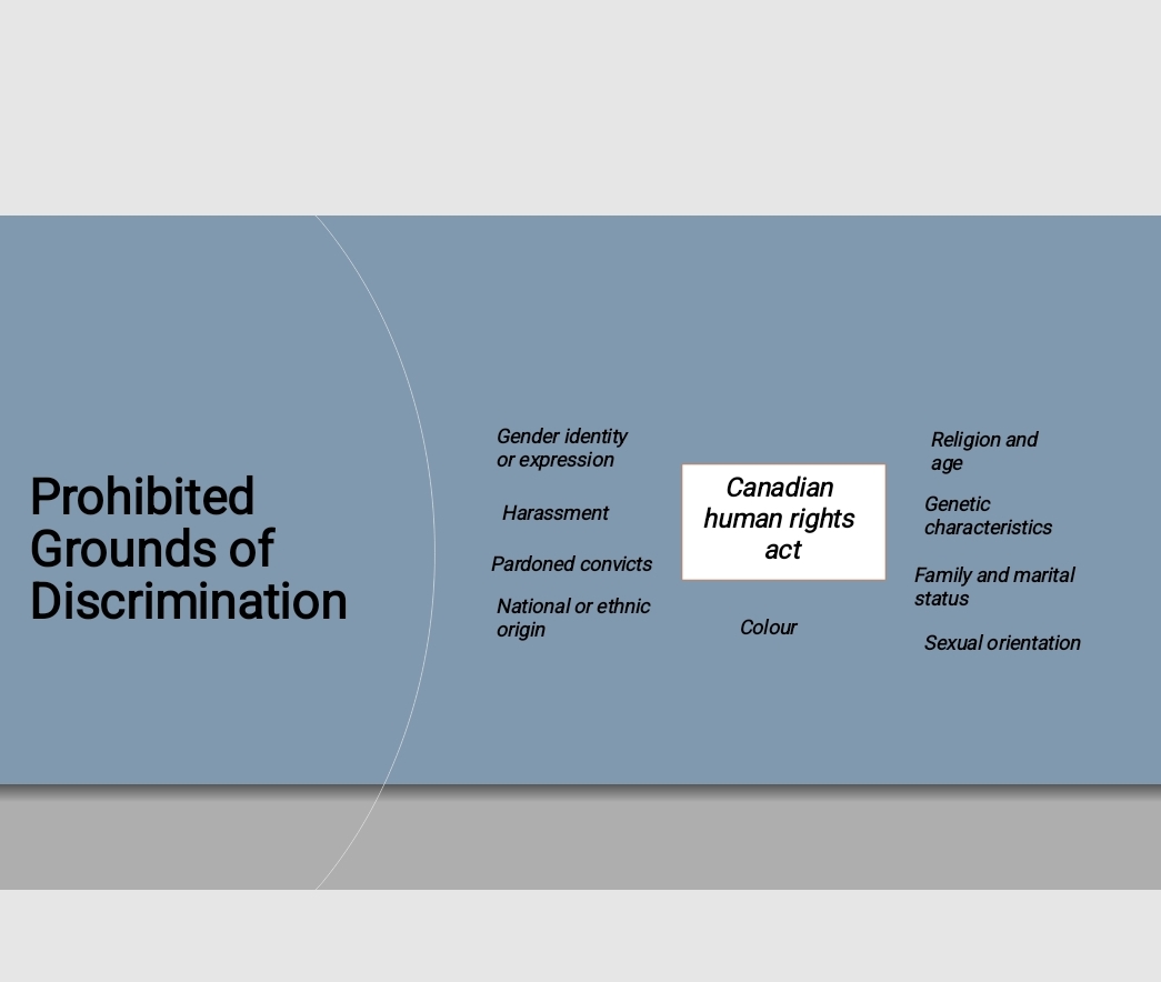 Solved Prohibited Grounds of DiscriminationGender identity | Chegg.com