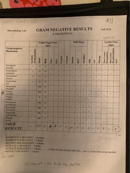 I need help writing an unknown lab report. The | Chegg.com