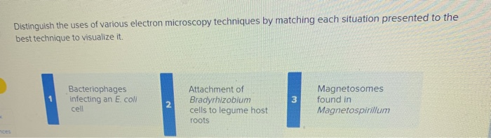 Solved Distinguish The Uses Of Various Electron Microscopy Chegg