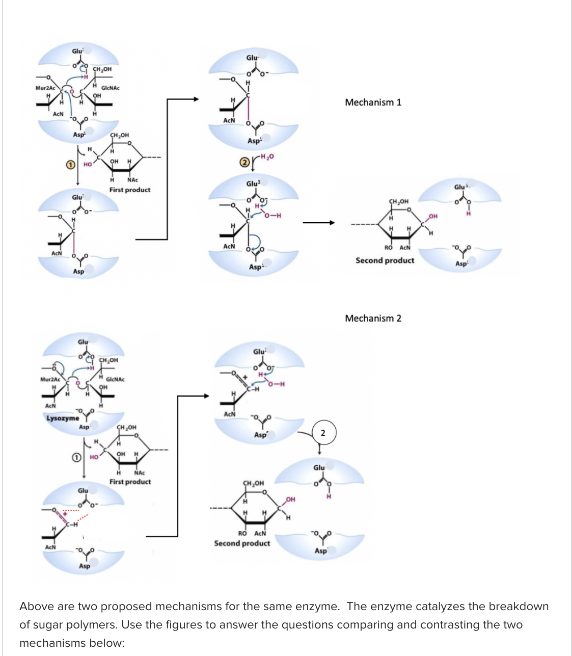 Solved Above are two proposed mechanisms for the same | Chegg.com