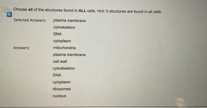 Solved All Answer Choices 1. mitochondrion 2. nucleoid 3. | Chegg.com