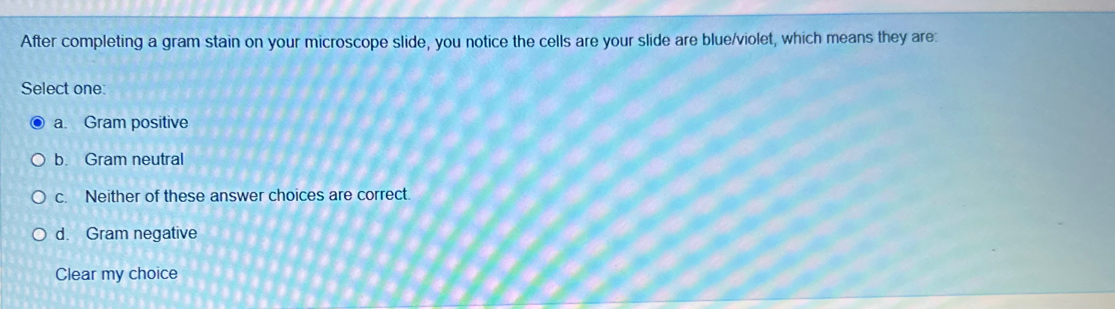 Solved After completing a gram stain on your microscope | Chegg.com