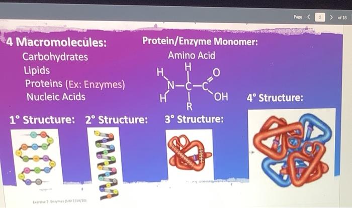 Solved The Substrate(s) For The Reaction On Page 3 Of The | Chegg.com