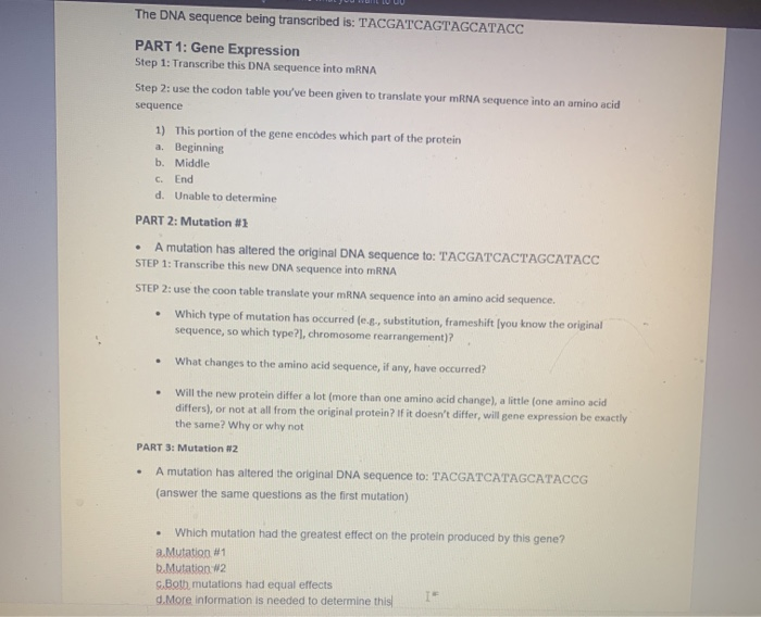 Solved The DNA sequence being transcribed is: | Chegg.com