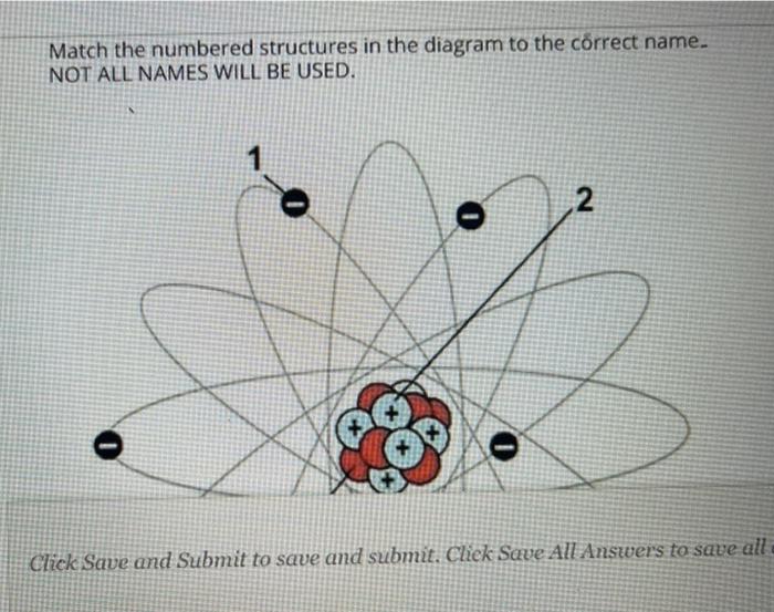 Solved Match the numbered structures in the diagram to the | Chegg.com