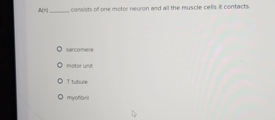 Solved A(n) ﻿consists of one motor neuron and all the | Chegg.com