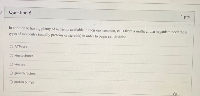 Solved Question 6 1 pts In addition to having plenty of | Chegg.com