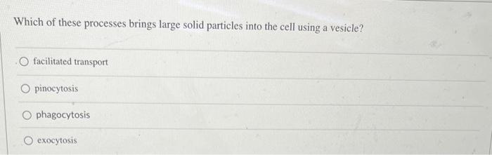 Which of these processes brings large solid particles into the cell using a vesicle?
facilitated transport
pinocytosis
phagoc