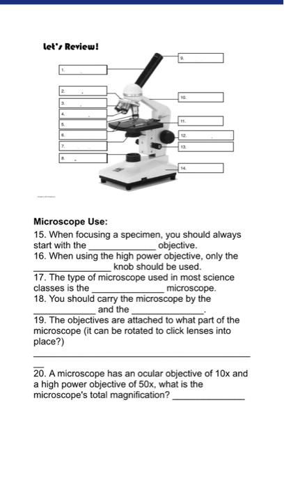 Microscope Parts And Use Worksheet