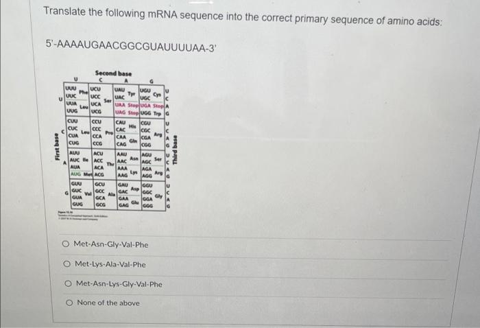 Solved Translate the following mRNA sequence into the | Chegg.com