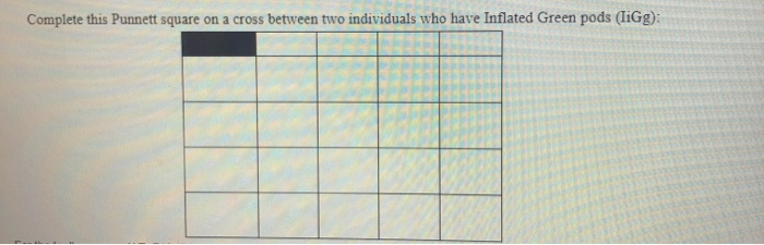 Solved Complete this Punnett square on a cross between two | Chegg.com